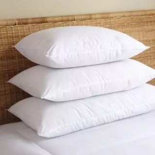 Ruột gối nằm ép hơi cao cấp có khóa kéo 30 x 50 cm (giặt được )