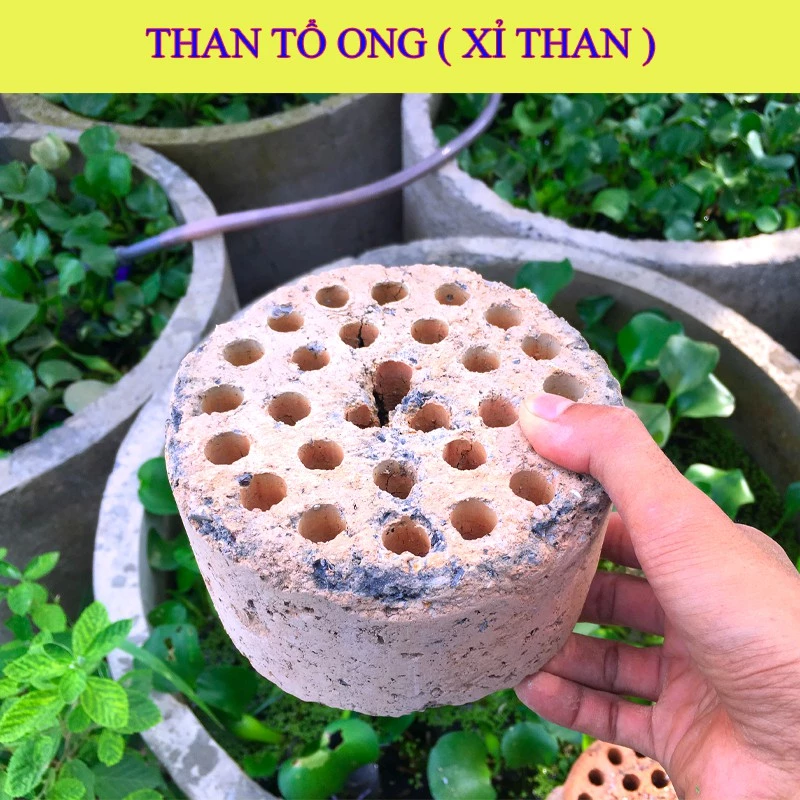 THAN TỔ ONG SẠCH 🍪 XỈ THAN 🍪 SIÊU LỌC NƯỚC