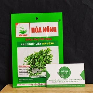 Hạt Giống rau ngót việt khả năng nảy mầm cao