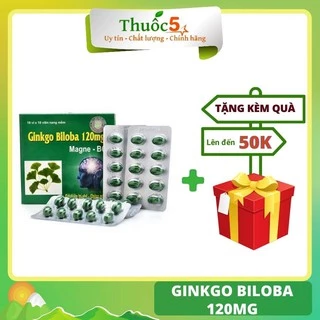 Ginkgo Biloba 120mg Magne B6 hoạt huyết bổ não 100 viên