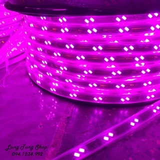 Đèn led dây màu hồng tím loại đôi 2 bóng siêu sáng chống nước