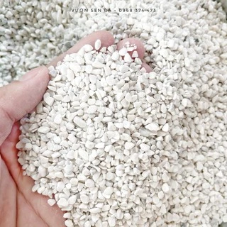 Sỏi trắng 2-3mm (1kg) - Vườn sen đá