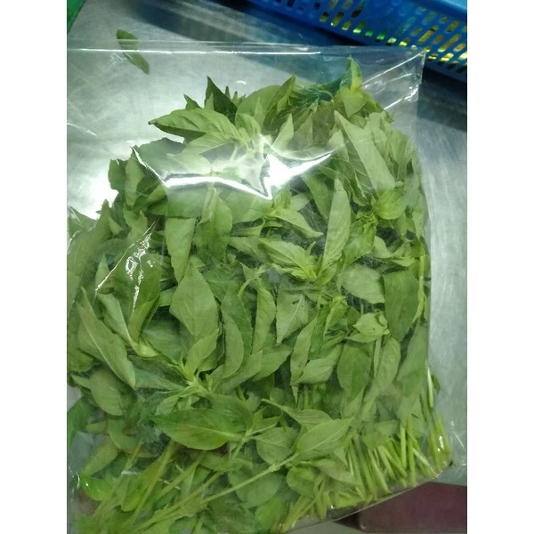 Lá é tươi nguyên cành 1Kg -Lá é tươi đặc sản Phú Yên