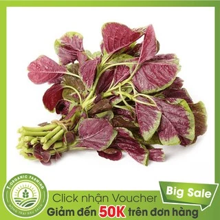 Hạt Giống Rau Dền Khoang 20g