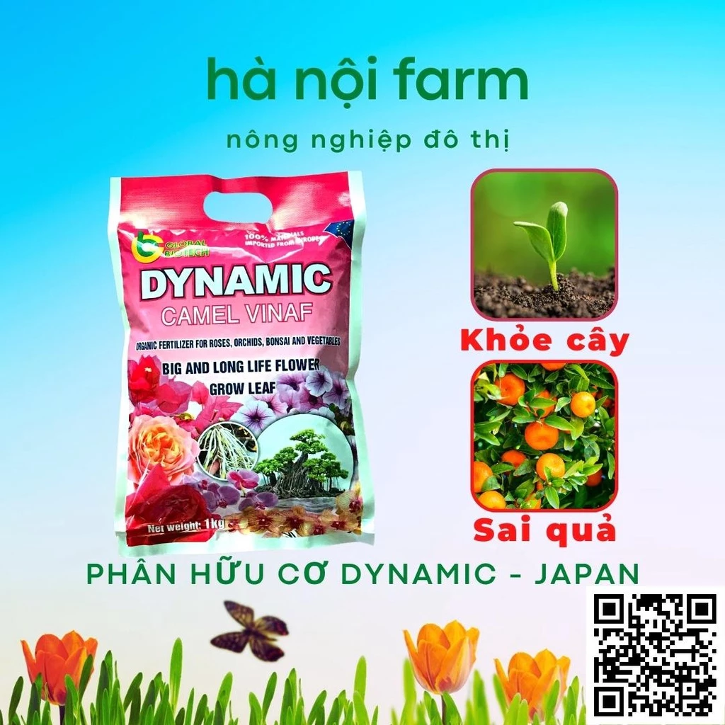 Phân bón hữu cơ tổng hợp Dynamic Nhật bản túi 1kg, khỏe cây nhiều