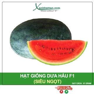 Hạt Giống Dưa Hấu F1 Quả Ngọt, Cây Sinh Trưởng Nhanh