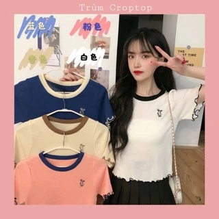 Croptop Tay Ngắn Phối Cổ Viền Tay Thêu Hình Chú Thỏ 4 Màu Phông Nữ Basic