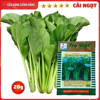 Hạt Giống CẢI NGỌT Cao Sản 20gr: Trồng Được Quanh Năm, Phát Triển Mạnh, Ít Sâu Bệnh - Xuất Xứ  Newzealand