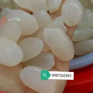 1kg Hạt đác Nha trang size lớn (có hút chân ko)