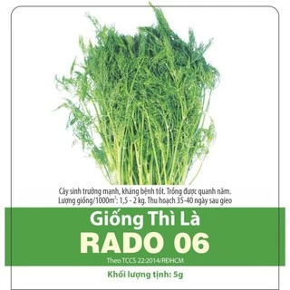 Hạt giống rau Thì Là_ Gói 5gr