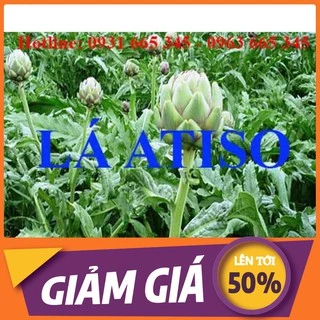 Lá Atiso 1Kg Hàng Đà Lạt 100% Tự Nhiên - Thảo Dược Uy Tín