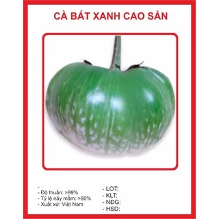 Hạt giống cà bát xanh cao sản (cà da ếch) 0.5gr