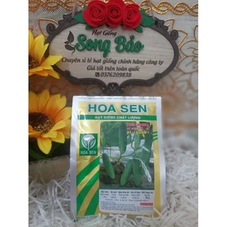 Hạt giống dưa leo Hoa Sen 639 gói 10g