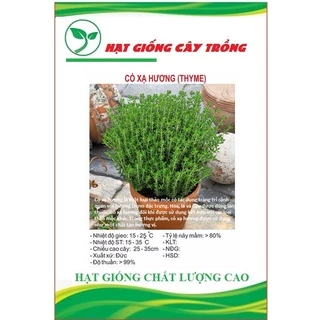 Hạt giống Cỏ Xạ Hương (Thyme) CT185 - Gói 100 hạt