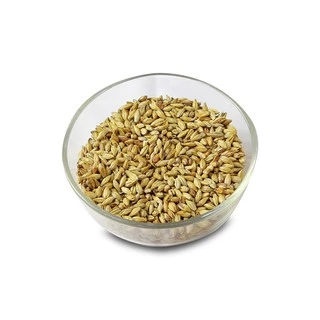 Malt nấu bia Caraamber Malt