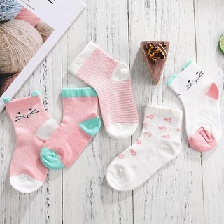 Set 5 đôi tất lưới mèo điều hoà cao cổ hè thu chất liệu cotton co dãn 4 chiều mềm mại thoáng khí cho bé từ 0-3 tuổi