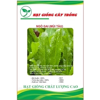 Hạt giống rau ngò gai ( mùi tàu ) CT135 - Gói 2gram