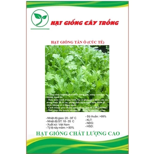 Hạt giống cải cúc tẻ (rau tần ô) CT528 - Gói 10gram