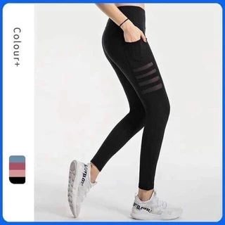 (Có Bigsize 90kg )Legging dài phối lưới 3 màu tập gym yoga bigsize co dãn thoải mái