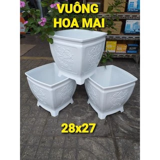 Chậu nhựa vuông hoa mai