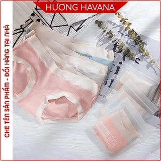 Quần lót bầu chất cotton thông hơi cạp chéo bigsize HAVANA FLQ107