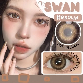 [SẴN] MỘT ĐÔI KÍNH ÁP TRÒNG MÀU NÂU SWAN BROWN SIÊU ÊM SIÊU MỀM NỘI ĐỊA TRUNG QUỐC - LENS CÓ ĐỘ CẬN