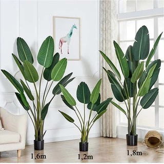 Cây Giả 🌺 Cây Chuối Cảnh Lá Mờ 1,2m 1,6m 1,8m