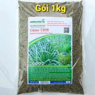 Hạt Giống Cỏ Ghine Td58 (Gói 1kg) - Cỏ Chịu Bóng Râm Tốt Đảm Bảo Nảy Mầm Cao