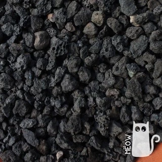 Đá nham thạch đen - NOSTIPLANT BLACK LAVA ROCK | Giá thể trồng sen đá, xương rồng, lọc nước bể cá