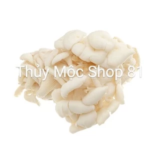 🍄 NẤM BÀO NGƯ TRẮNG - TÚI 1KG