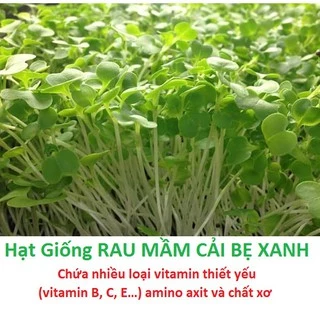 Hạt giống mầm cải bẹ xanh, Cải xanh baby - gói 20-50gr