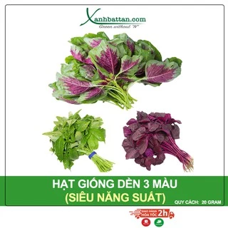 Hạt Giống Rau Dền 3 Màu Phú Nông Gói 20 Gram