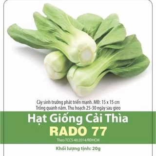 Hạt giống cải thìa