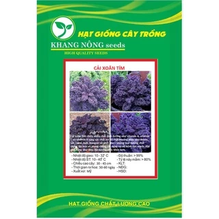 Hạt giống rau cải xoăn tím ( Cải kale tím ) KNS3388 - Gói 20 hạt