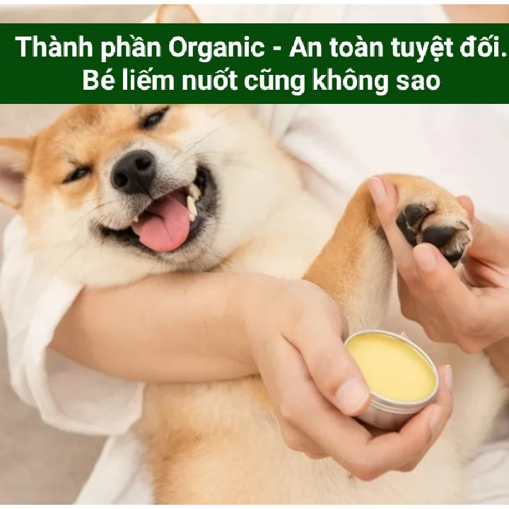 *Hoả tốc* Kem dưỡng chăm sóc đệm bàn chân, lòng bàn chân cho chó mèo thú cưng Paw Soother - Hàng cao cấp