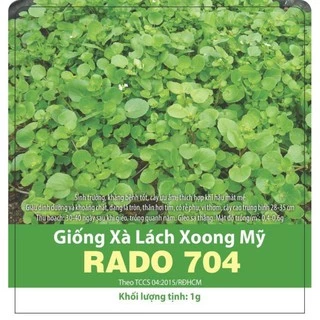 Hạt giống Xà Lách Xoong dành cho gia đình