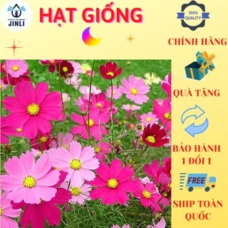 Hạt giống hoa sao nhái 1 gói JL18