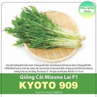 Hạt Giống Cải Mizuna Lai F1 (KYOTO909) 5gr