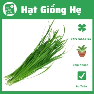 Hạt giống hẹ cao sản Rado 83- chất lượng cao- 1gr