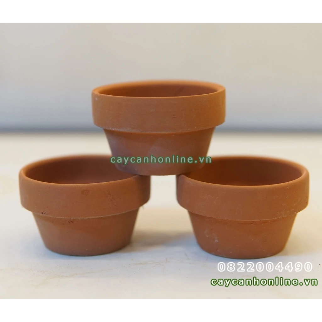 Chậu đất nung mini màu nâu trồng cây xương rồng sen đá mini để bàn Size 6x3.5cm