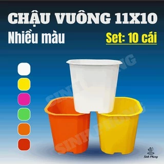 Chậu vuông 11x10 nhiều màu (Set 10 cái)