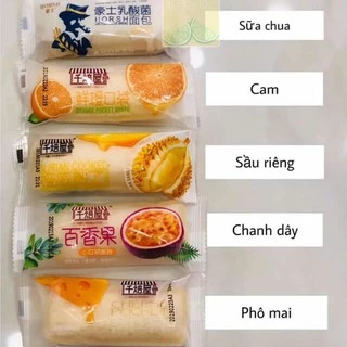 MIX Bánh sữa chua mini pocket đủ mùi