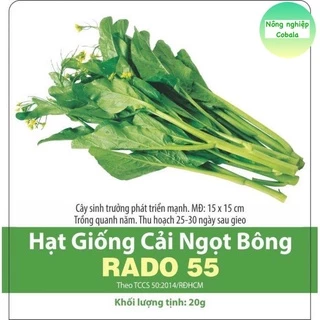 Hạt Giống Cải Ngọt Bông Ăn Bông (Cải Ngồng) Dễ Trồng 20gr