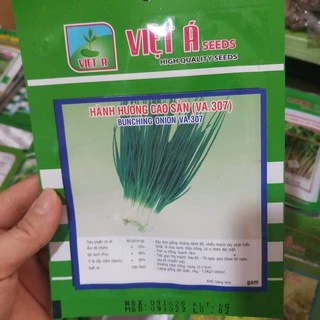 Hạt giống hành Việt Á(Gia vị Ngon- Bổ- Rẻ) 50g