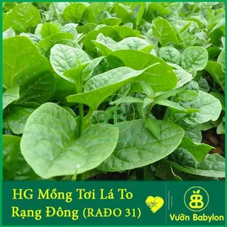 Hạt Giống Mồng Tơi Cao Sản 20gr Rạng Đông