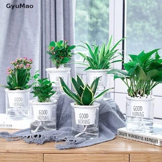 [cxGYMO] Transparent Flower Pot Self-Watering Plant Flower Pot Home Garden Decoration  HDY