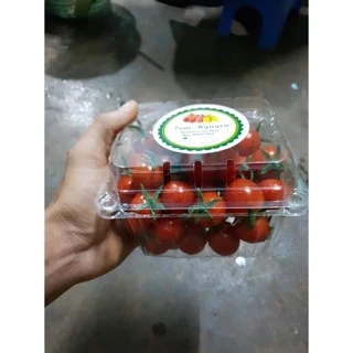 400 Hộp nhựa đựng trái cây ( 500g)