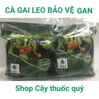 Trà Cà Gai Leo túi lọc Sadu 1kg, mát gan giải độc thanh nhiệt cơ thể