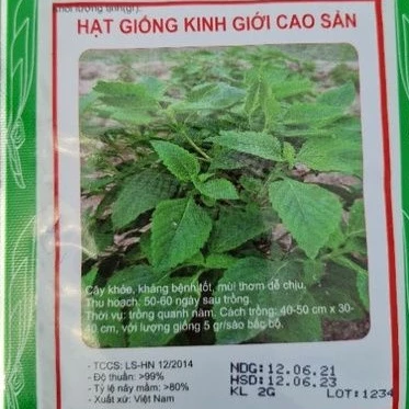 Hạt giống rau kinh giới cao sản