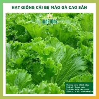 Hạt giống rau cải bẹ mào gà cao sản ngon ngọt rau củ quả trồng chậu chịu nhiệt 4 mùa ngon giòn ngọt 50gr RADO 0101